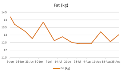 my fat loss